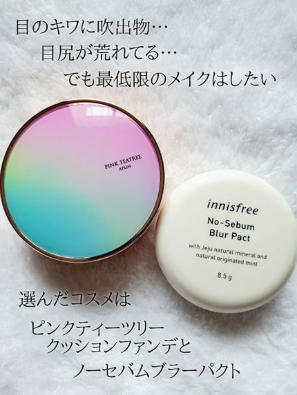 ノーセバム ブラーパクト/innisfree/プレストパウダーを使ったクチコミ(1枚目)