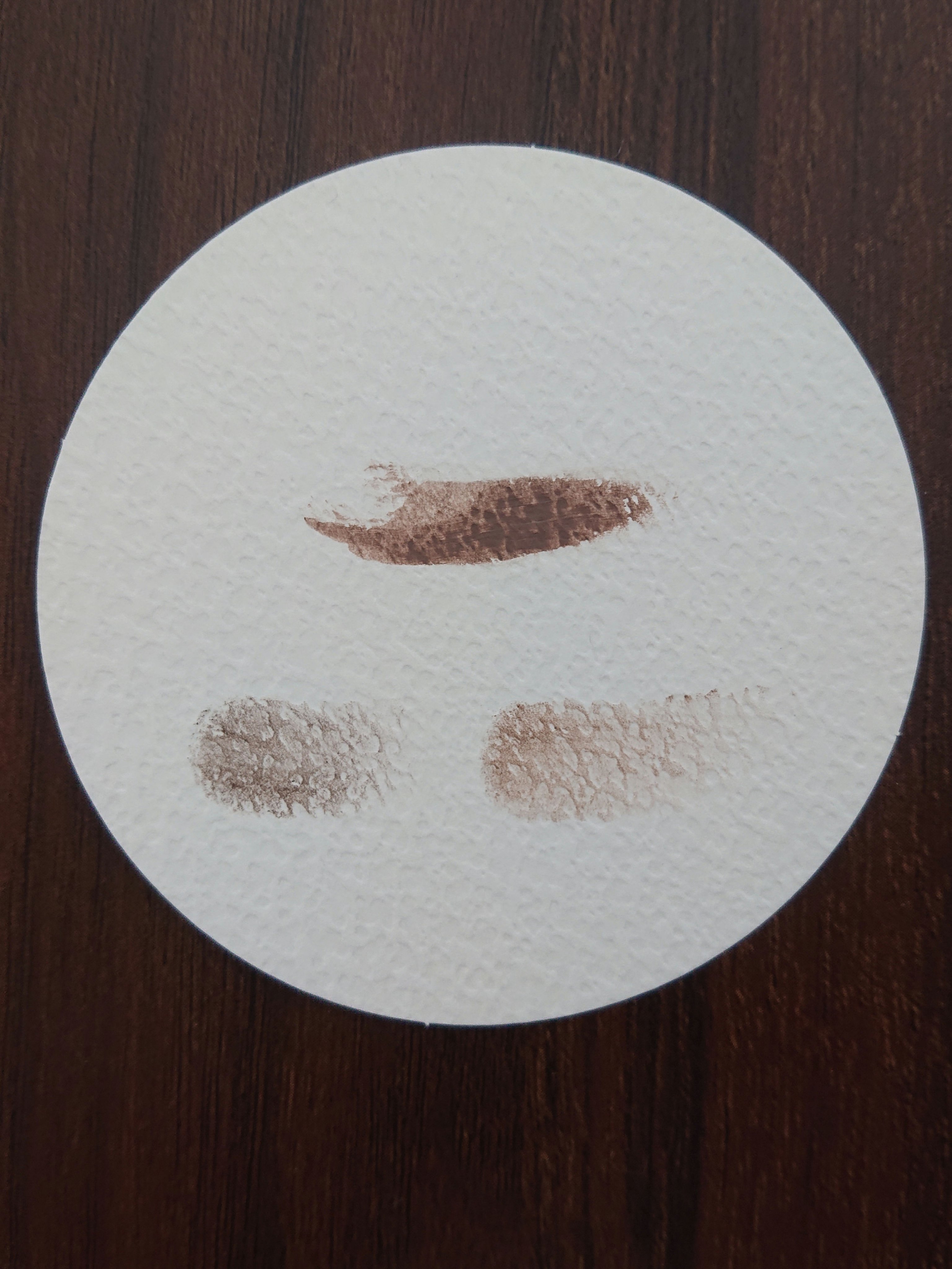 アイブロウパウダー 02 ミディアムブラウン/ナチュラグラッセ/パウダーアイブロウを使ったクチコミ（1枚目）