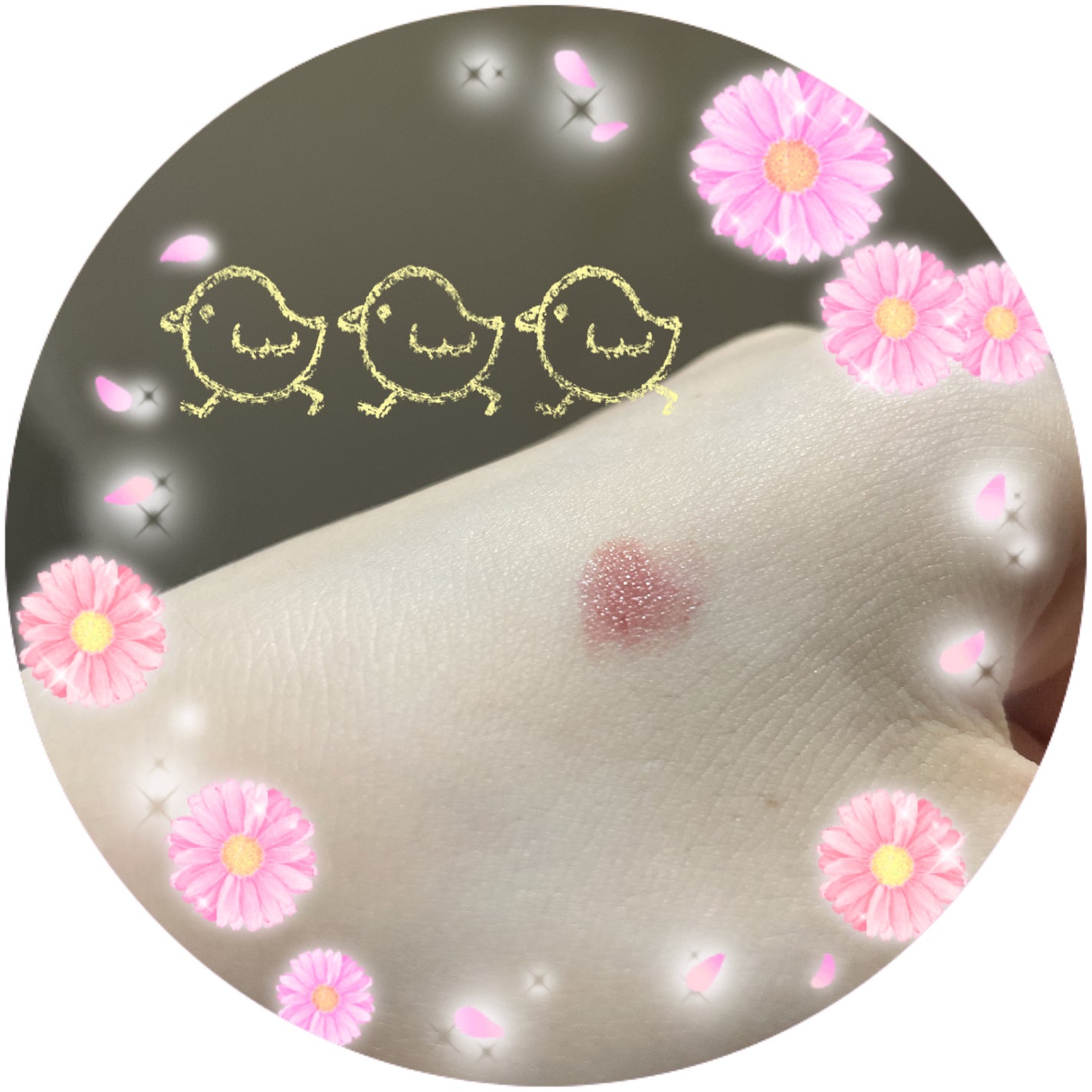 ヒトヌリ ルージュ/FASIO/口紅を使ったクチコミ(2枚目)