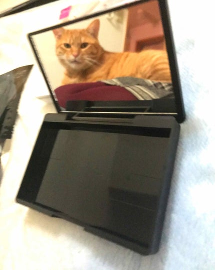 春姫化粧ブラシセット/DAISO/メイクブラシを使ったクチコミ(4枚目)