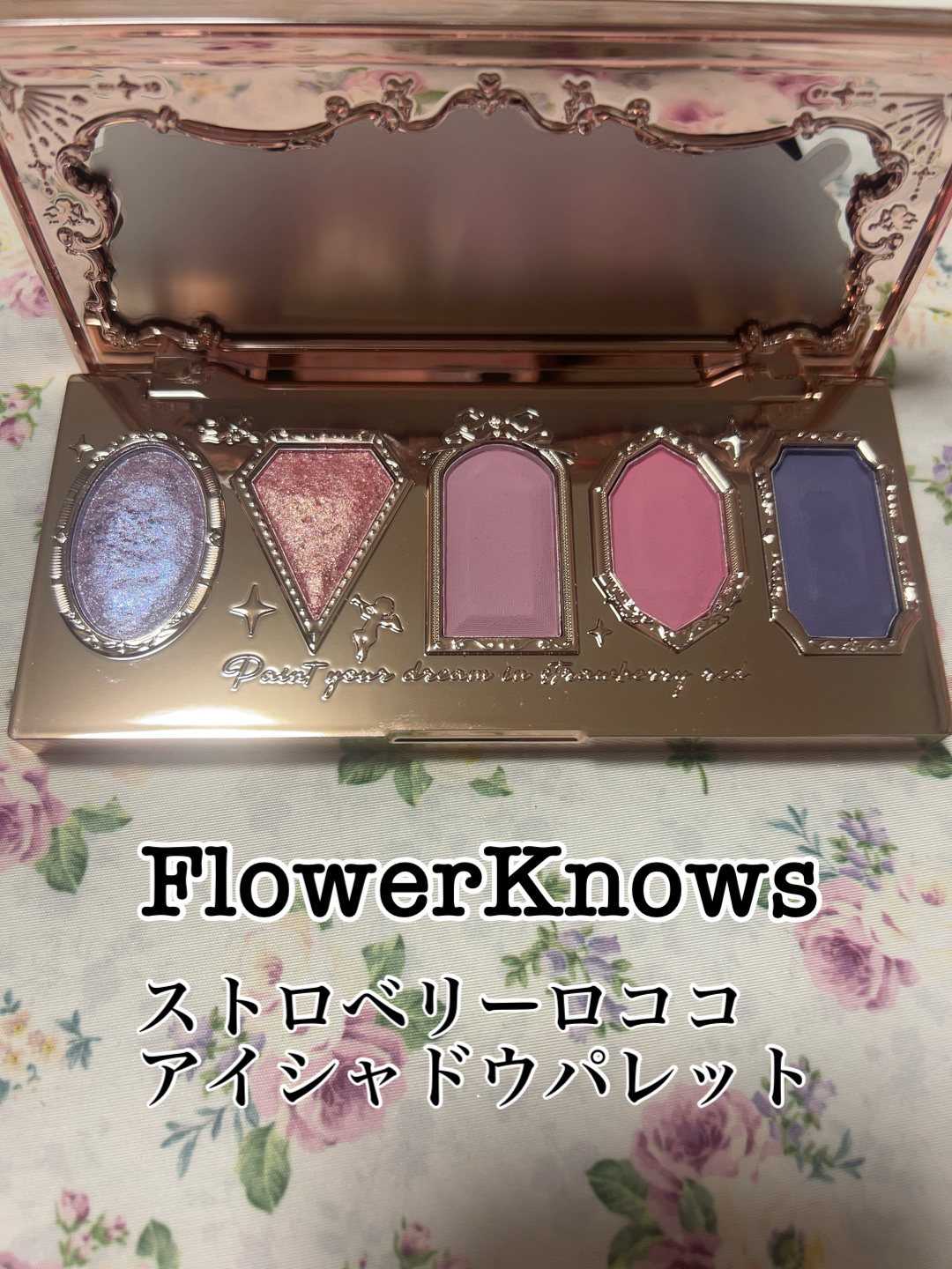 FlowerKnows ストロベリーロココ アイシャドウパレットのクチコミ「
🐈‍⬛FlowerKnowsストロベリーロココ アイシャドウパレットG01スタームーンストロ.....」（1枚目）