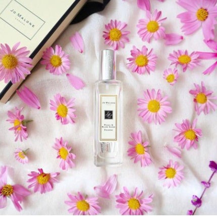 ピオニー & ブラッシュ スエード コロン/Jo MALONE LONDON/香水(レディース)を使ったクチコミ(1枚目)