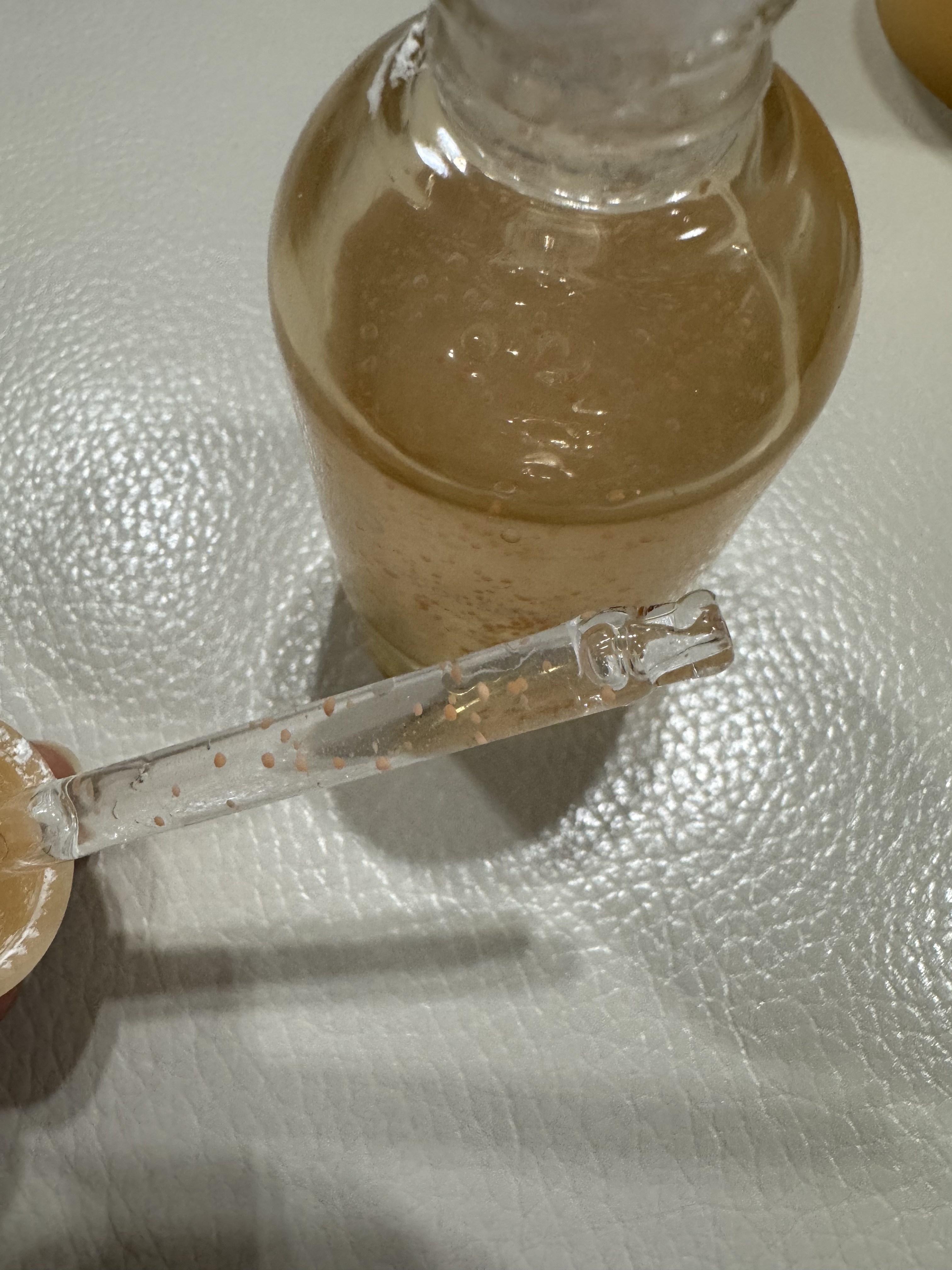 復活草ビフィダセラムファーミングドロップ/Abib /美容液を使ったクチコミ（2枚目）