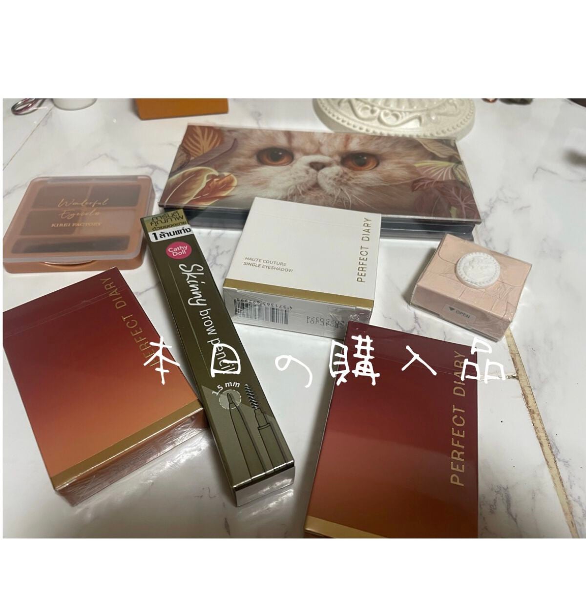 エクスプローラ12色 動物アイシャドウパレット/PERFECT DIARY/アイシャドウパレットを使ったクチコミ(1枚目)