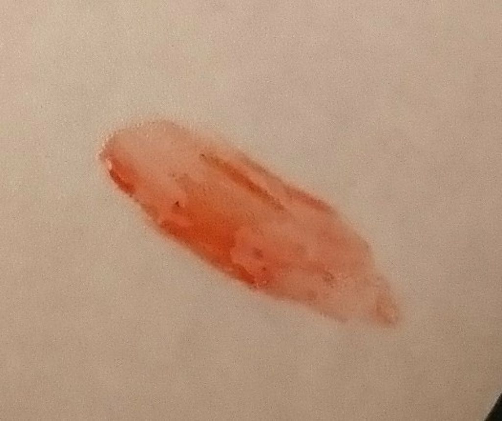 アピュー ジューシーパン ティント/A’pieu/リップティントを使ったクチコミ（3枚目）