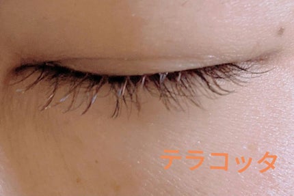 パーフェクトツイーザー/D-UP/その他化粧小物を使ったクチコミ(9枚目)