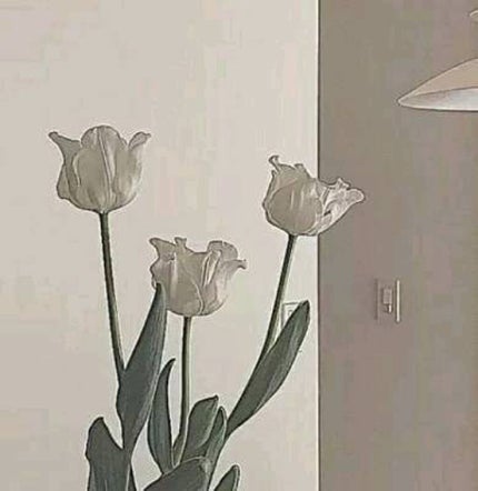 化粧水・敏感肌用・高保湿タイプ/無印良品/化粧水を使ったクチコミ(1枚目)
