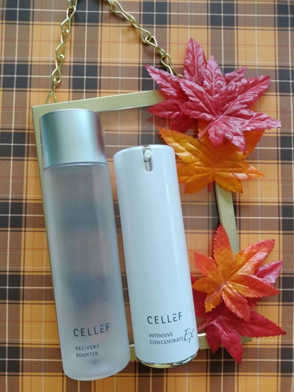 セルエフ インテンシブ コンセントレートEXのクチコミ「セルエフのスキンインターバルメソッド、2ヶ月目に突入しております。
1ヶ月目は導入化粧水のデ.....」(3枚目)