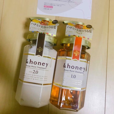 ディープモイスト シャンプー1.0／ヘアトリートメント2.0/&honey/シャンプー・コンディショナーを使ったクチコミ（1枚目）