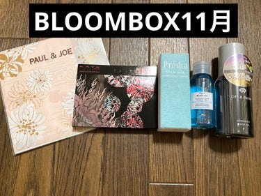 BLOOMBOX11月

KATEのパレットはYouTubeで見たことあったので使うの楽しみです。
他も使ったことないものばかりでワクワクしました。