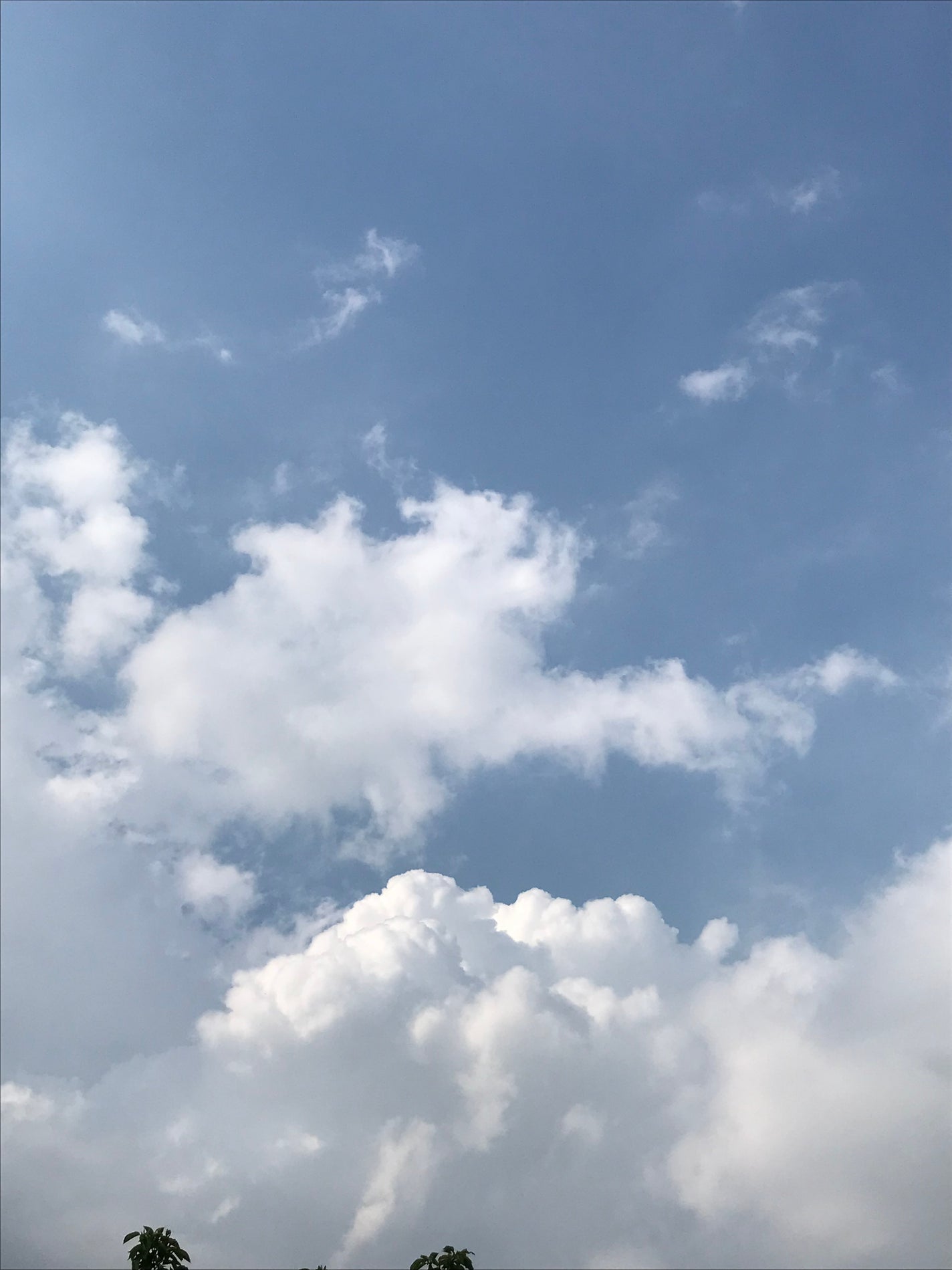 朱里(あかり) 💚フォロバ100 on LIPS 「✂ーーーーーーーーーーーーーーーーーー消してないよーー。何で皆..」(1枚目)