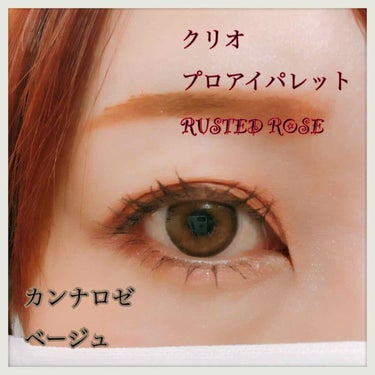 【今日のアイメイク】

アイシャドウ
クリオ　プロアイパレット　RUSTED ROSE

カラコン
カンナロゼ
ベージュ

日替わりでプロアイパレットばっか使ってる。

カンナロゼ、他の1dayカラコン