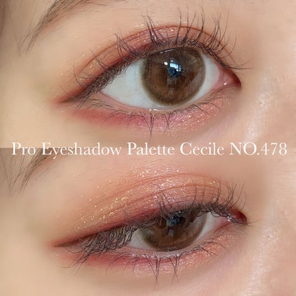 プロアイシャドウパレットセシル/CELEFIT/アイシャドウパレットを使ったクチコミ(7枚目)