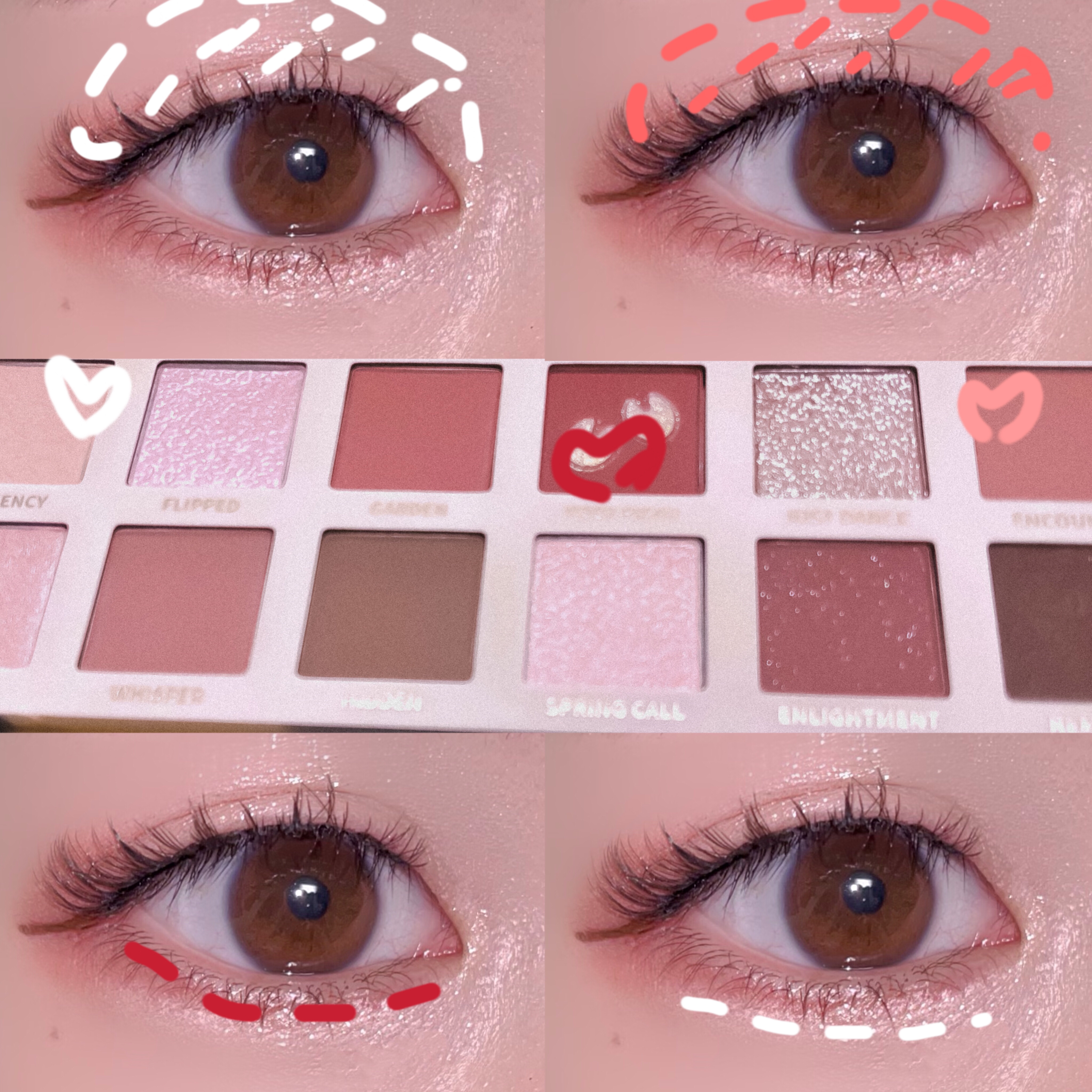 エクスプローラ12色 動物アイシャドウパレット/PERFECT DIARY/アイシャドウパレットを使ったクチコミ（2枚目）