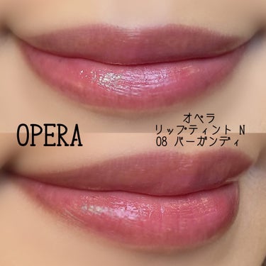 オペラ リップティント N 08 バーガンディ/OPERA/口紅の画像