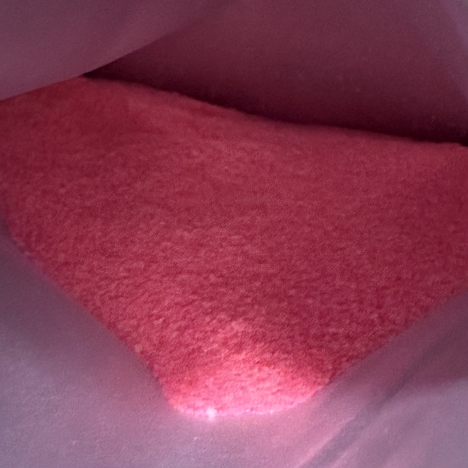 エアースペンサーの湯アフターシャワー/五洲薬品/無機塩系入浴剤を使ったクチコミ（3枚目）