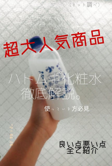 ハトムギ化粧水(ナチュリエ スキンコンディショナー R )/ナチュリエ/化粧水を使ったクチコミ(1枚目)