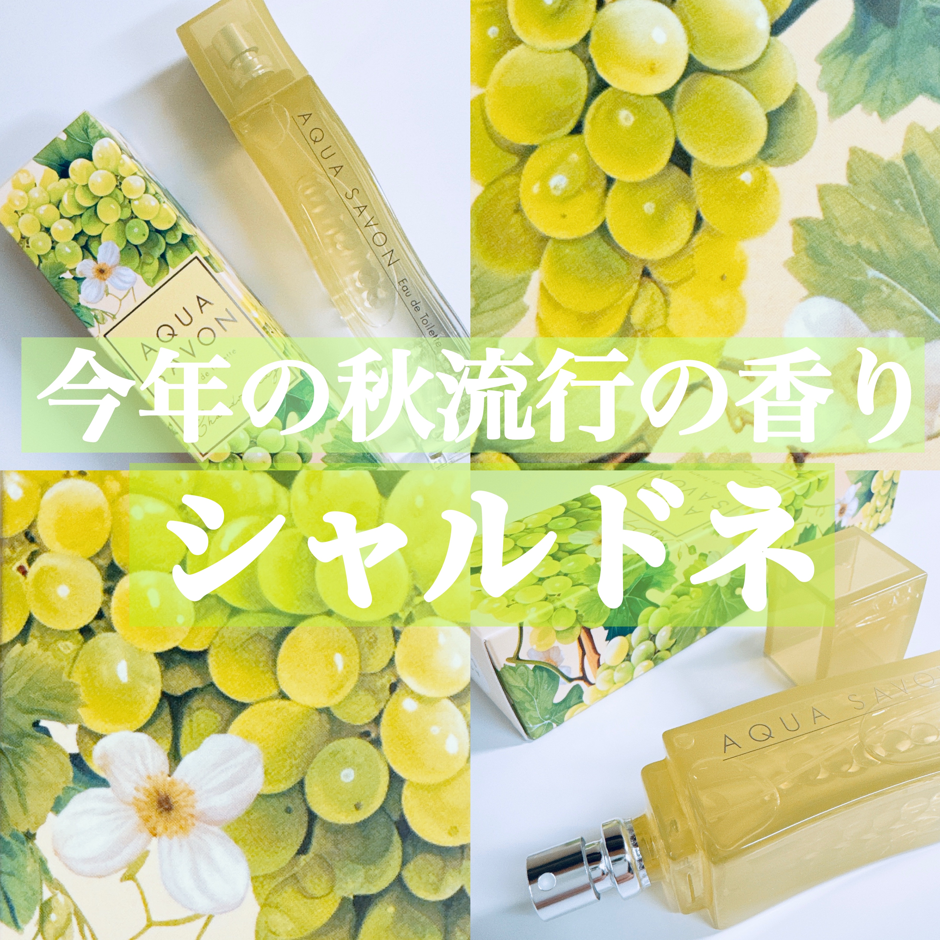 アクア　シャボン　シャルドネブリュットの香り　オードトワレ/アクアシャボン/香水(その他)を使ったクチコミ（1枚目）