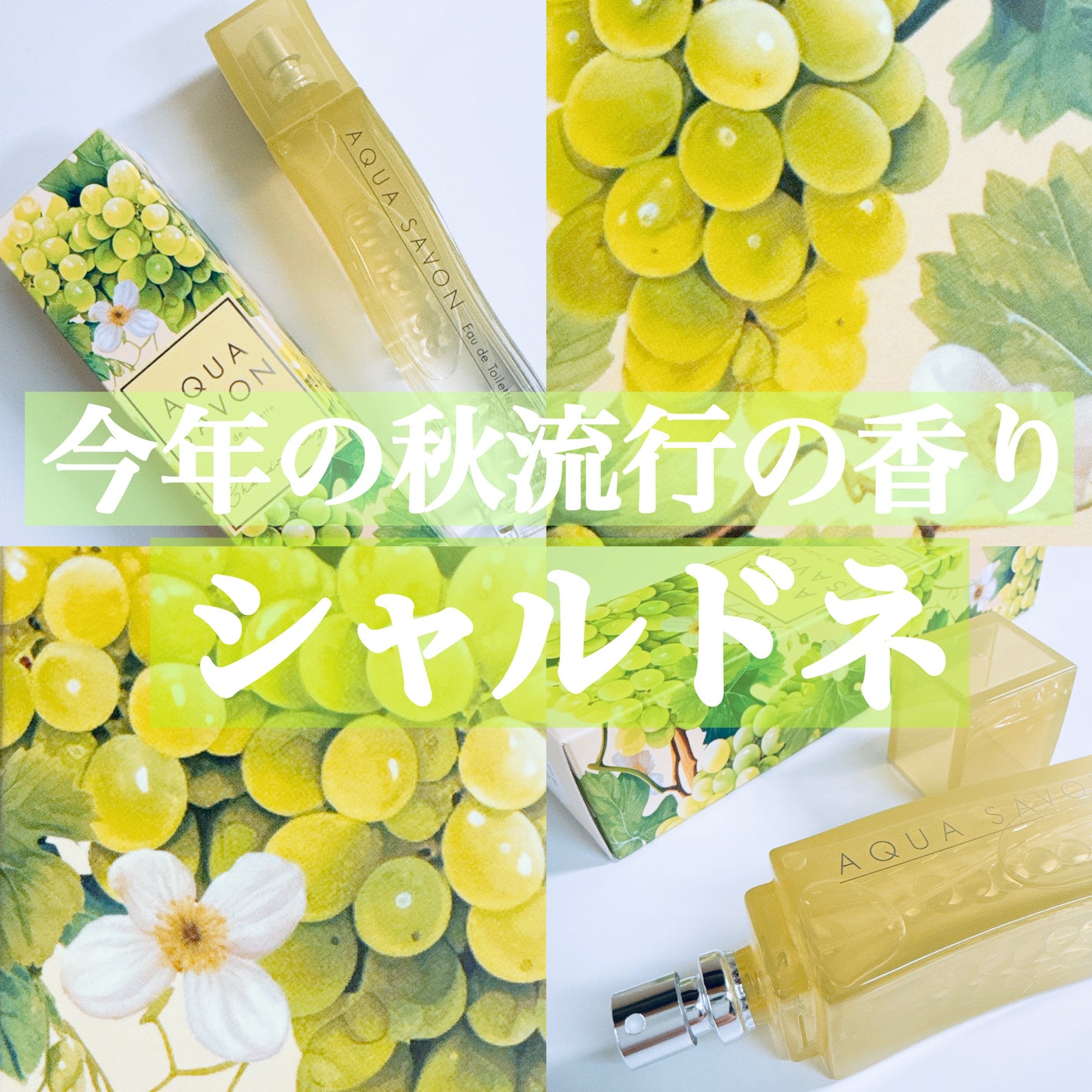 アクア シャボン シャルドネブリュットの香り オードトワレ/アクアシャボン/香水(その他)を使ったクチコミ(1枚目)