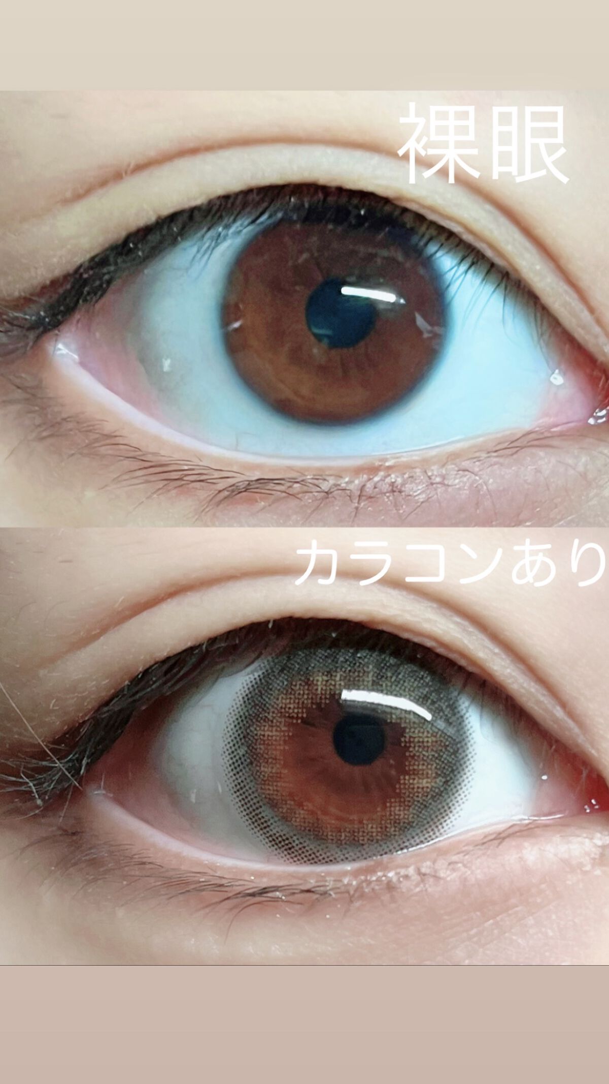 MOLAK 1day/MOLAK/ワンデー（１DAY）カラコンを使ったクチコミ（2枚目）