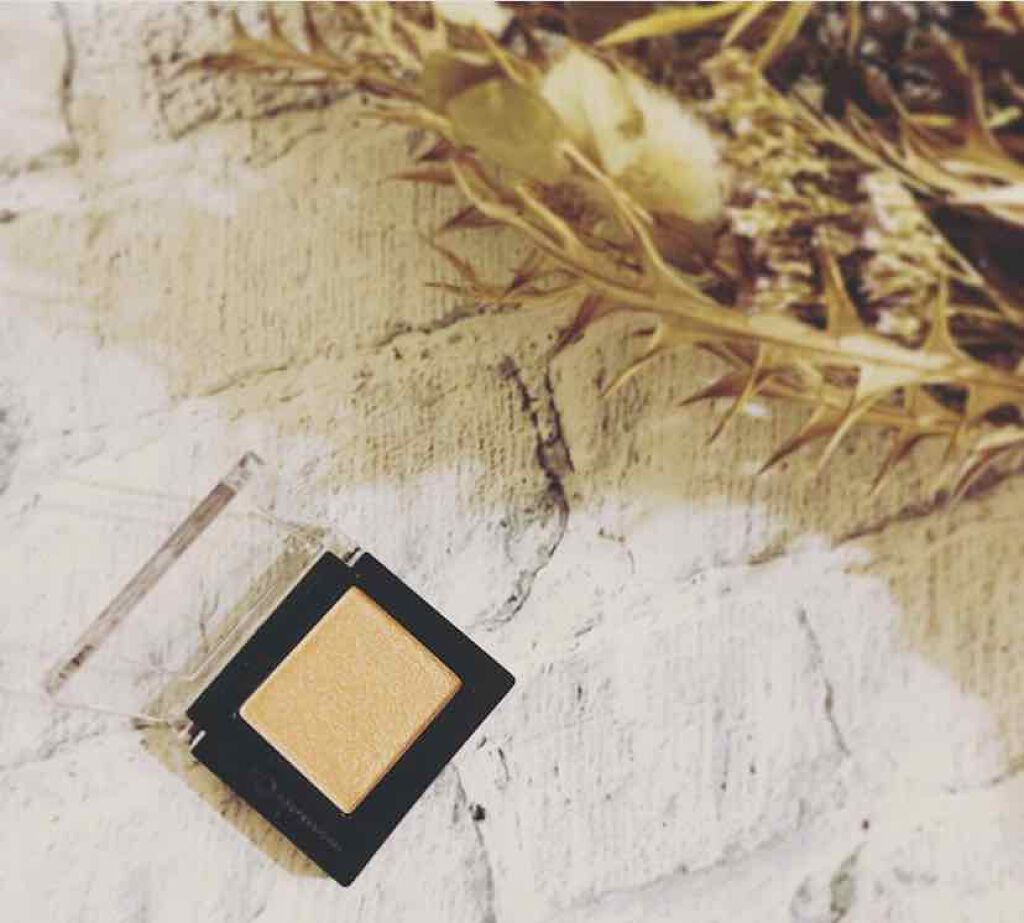 プロ シングル シャドウ/CLIO/単色アイシャドウを使ったクチコミ(1枚目)