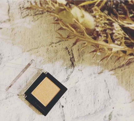 プロ シングル シャドウ/CLIO/単色アイシャドウを使ったクチコミ(1枚目)