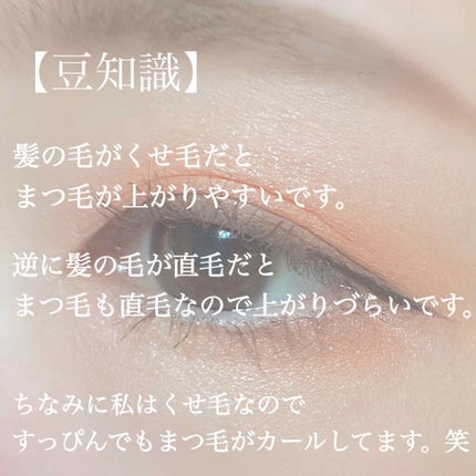 アイラッシュカーラー/DAISO/ビューラーを使ったクチコミ(2枚目)