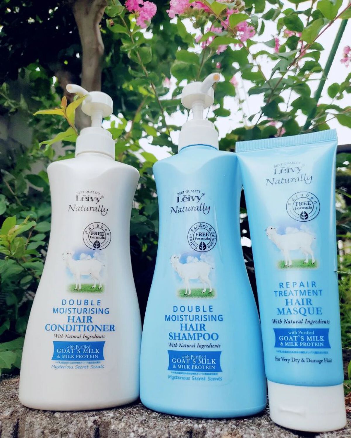 レイヴィー ヘアシャンプー ゴートミルク/Leivy/市販シャンプーを使ったクチコミ（1枚目）