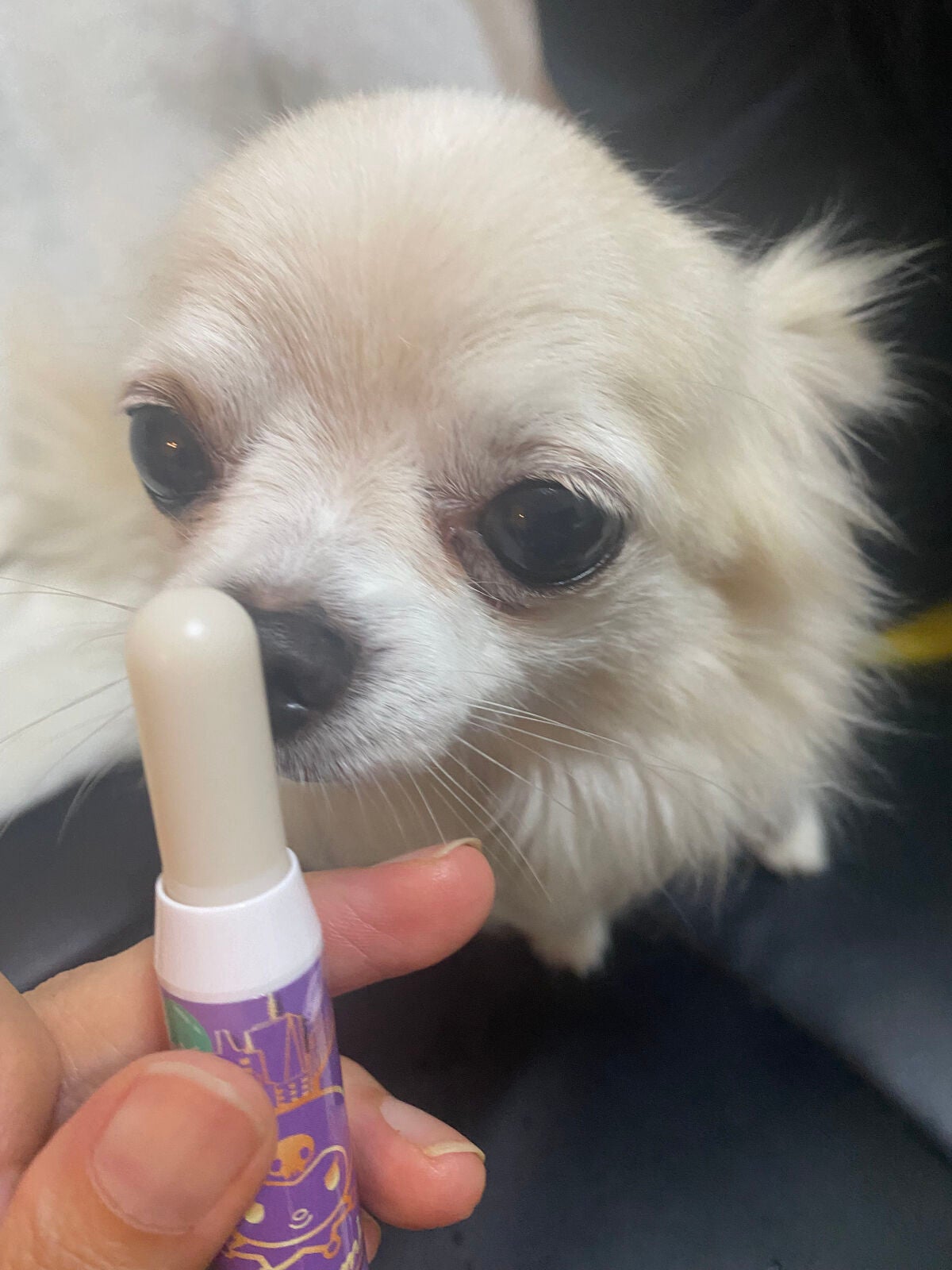 レブロン キス シュガー スクラブ/REVLON/リップスクラブを使ったクチコミ(6枚目)