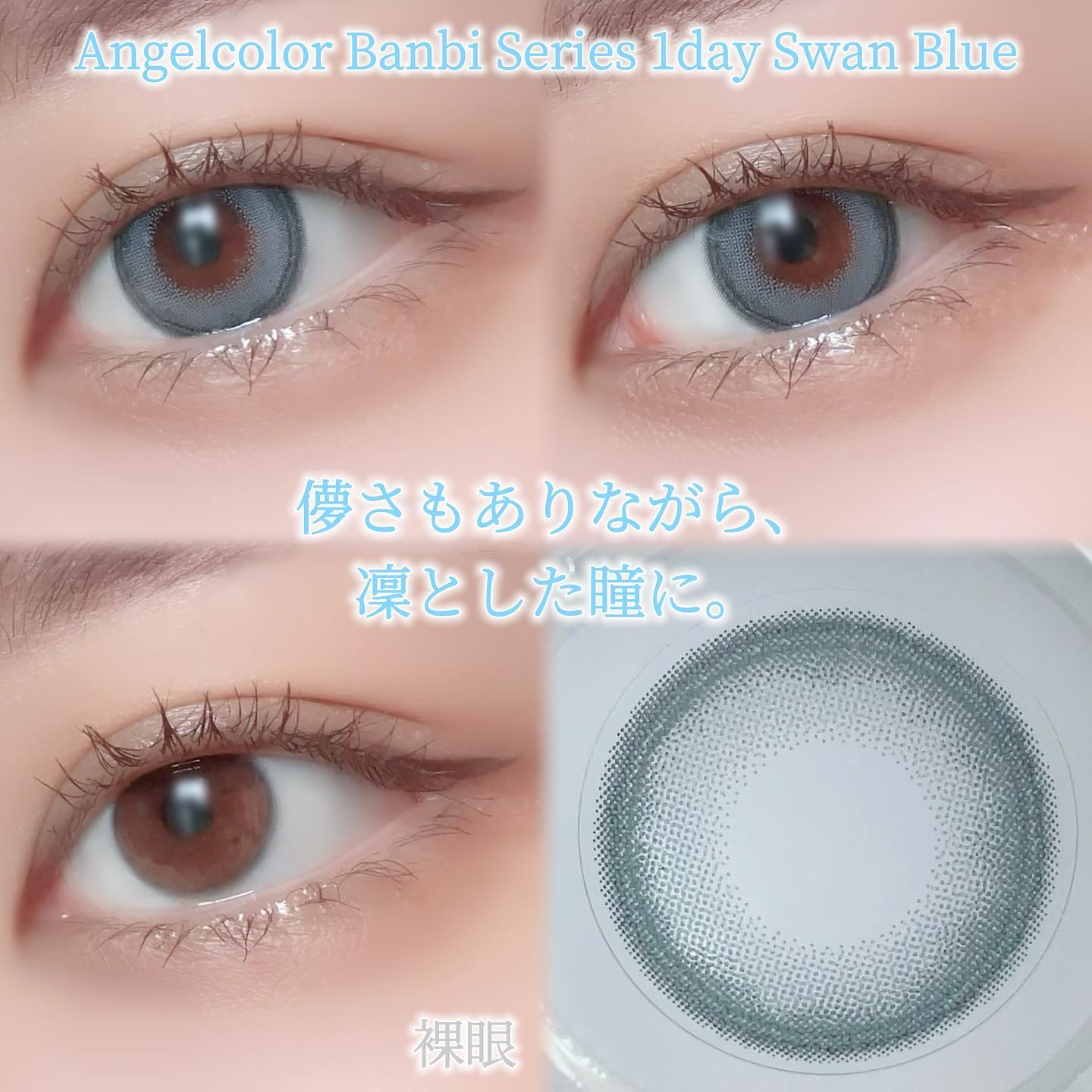 Angelcolor Bambi Series 1day /AngelColor/ワンデー（１DAY）カラコンを使ったクチコミ（3枚目）