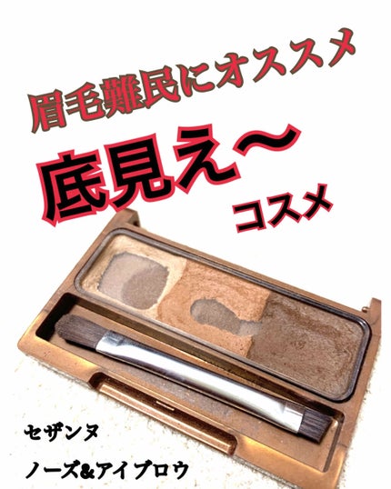 ノーズ&アイブロウパウダー/CEZANNE/パウダーアイブロウを使ったクチコミ(1枚目)