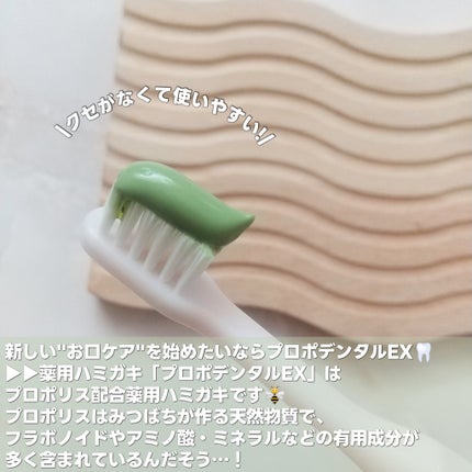 プロポデンタルEX(医薬部外品)/プロポリス健康増進会/歯磨き粉を使ったクチコミ(4枚目)