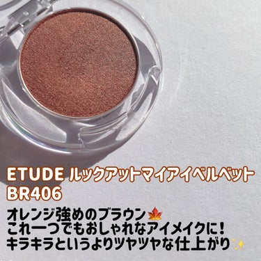 ルックアット マイアイベルベット BR406/ETUDE/シングルアイシャドウを使ったクチコミ（2枚目）