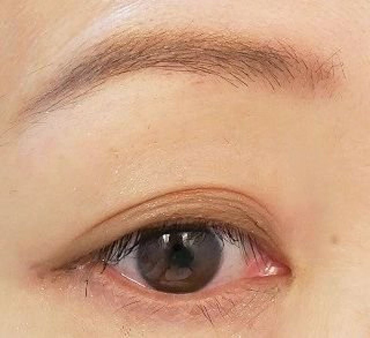 パウダーアイブロウ/media luxe/パウダーアイブロウを使ったクチコミ(8枚目)