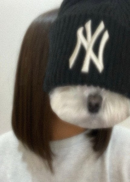 ピンクミー ウォーターコンク コントロール シャンプー/ヘアトリートメント/ululis/市販シャンプーを使ったクチコミ(2枚目)