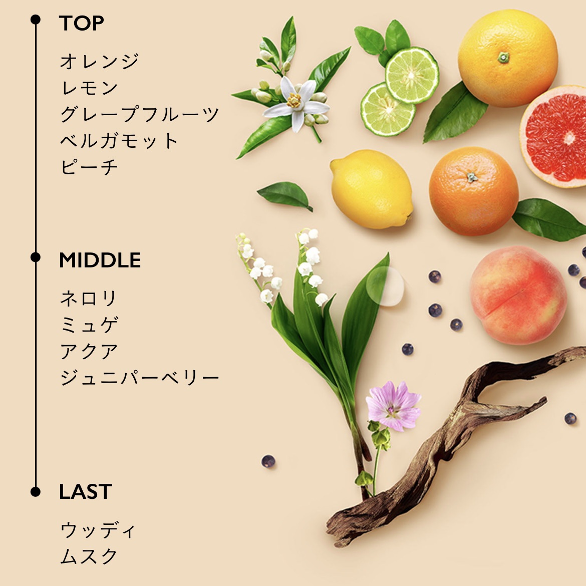 スカルプシャンプー/ トリートメント タイプ OS/DEMI DO/サロンシャンプーを使ったクチコミ（3枚目）