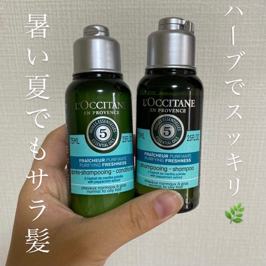 ファイブハーブス ピュアフレッシュネス シャンプー/コンディショナー/L'OCCITANE/市販シャンプーを使ったクチコミ(1枚目)