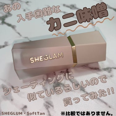 サンスカルプ リキッドシェーディング/SHEGLAM/シェーディングを使ったクチコミ（1枚目）