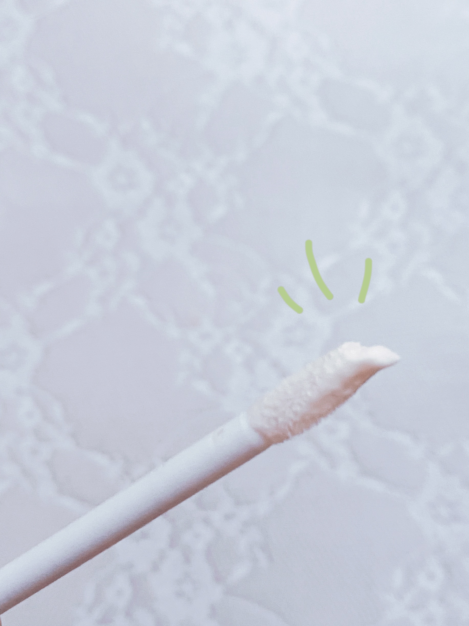 アイメイクベース/CEZANNE/アイシャドウベースを使ったクチコミ（3枚目）