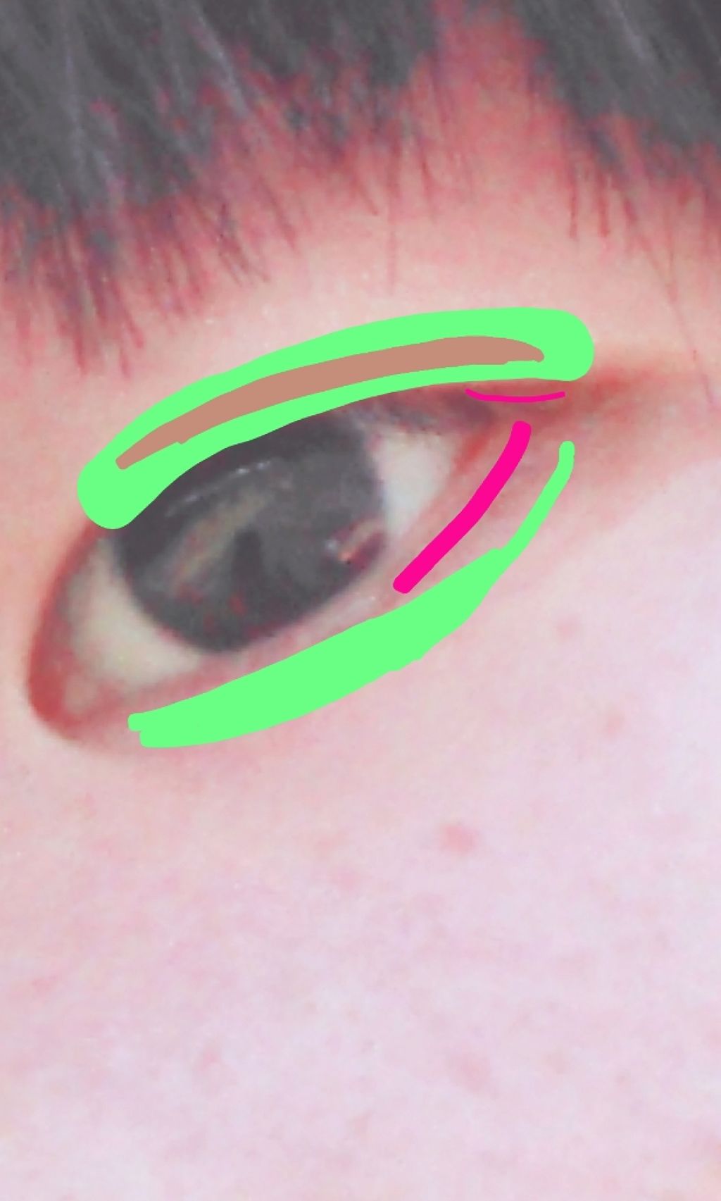 シングルカラーアイシャドウ/CEZANNE/単色アイシャドウを使ったクチコミ(2枚目)