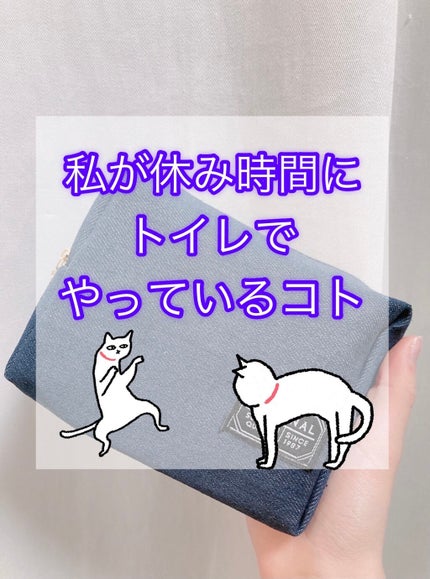 ノーセバム ミネラルパクト N/innisfree/プレストパウダーを使ったクチコミ(1枚目)