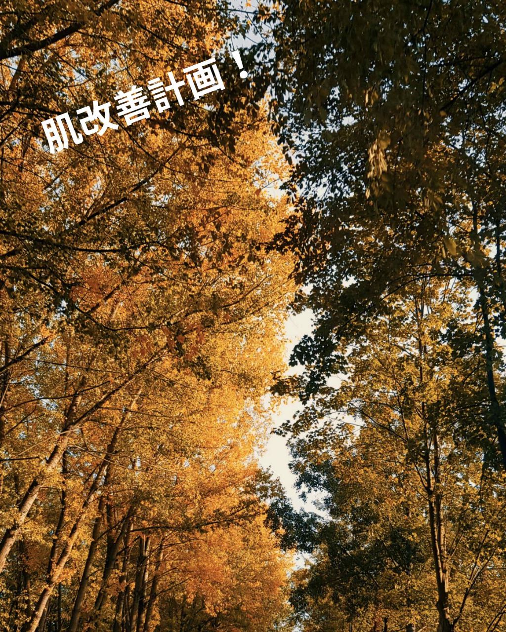 乳液・敏感肌用・高保湿タイプ/無印良品/乳液を使ったクチコミ（1枚目）