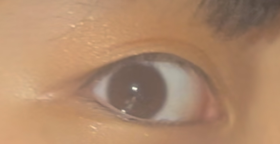 トーンアップアイシャドウ/CEZANNE/アイシャドウパレットを使ったクチコミ（1枚目）