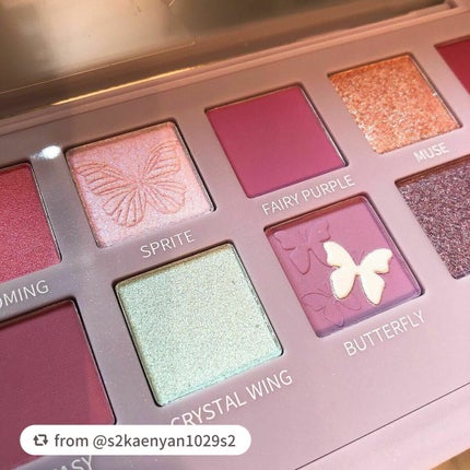 エクスプローラ12色 動物アイシャドウパレット/PERFECT DIARY/アイシャドウパレットを使ったクチコミ(3枚目)