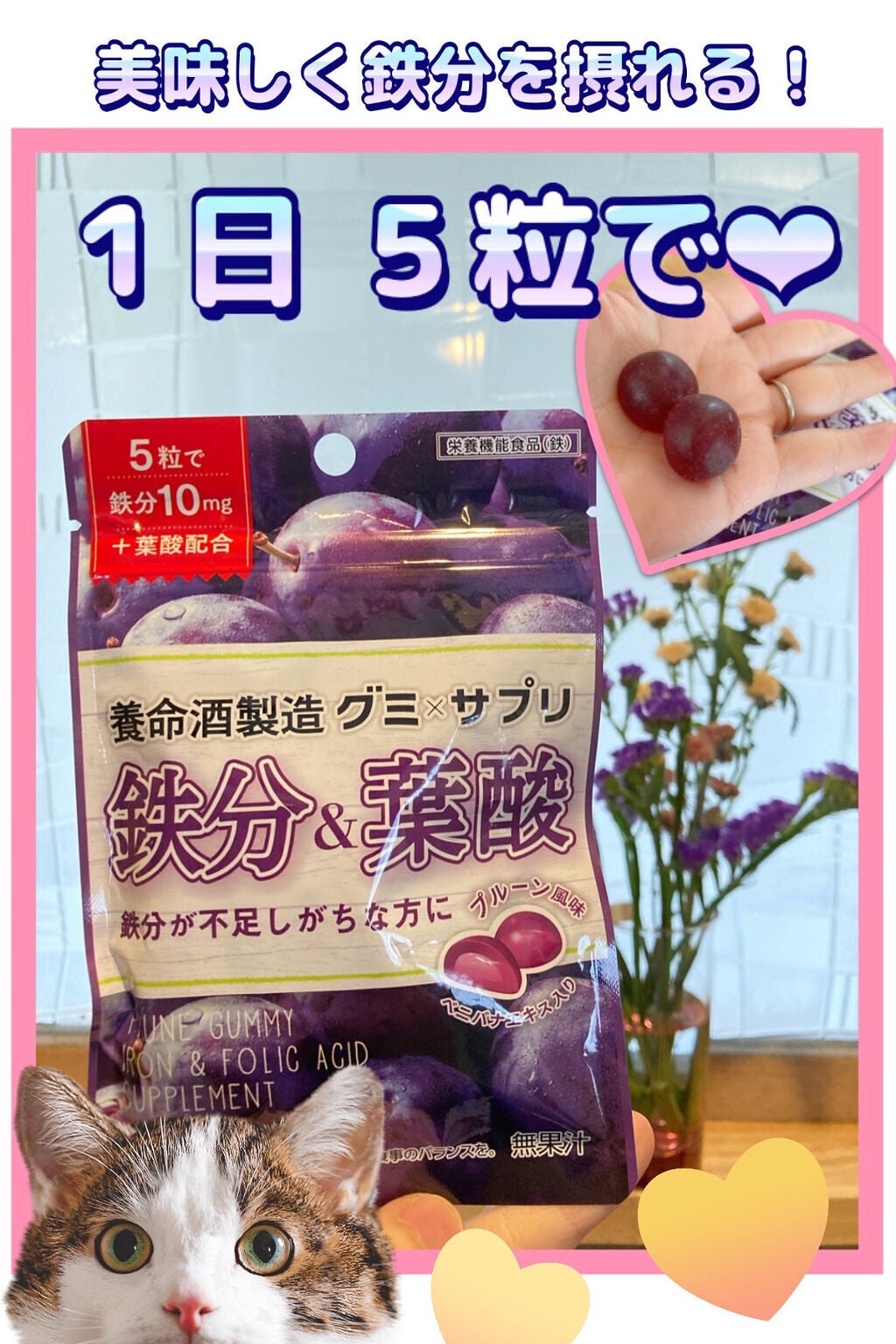 グミ×サプリ 鉄分&葉酸 プルーン味/養命酒/健康サプリメントを使ったクチコミ(1枚目)