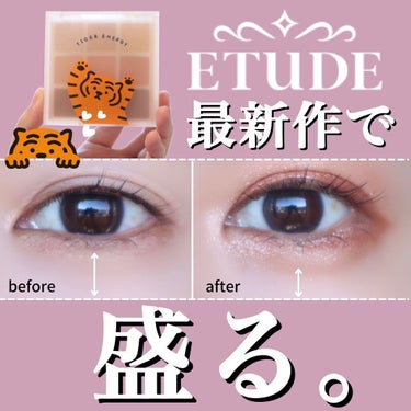 ムジークタイガープレイカラーアイズ/ETUDE/パウダーアイシャドウを使ったクチコミ（1枚目）