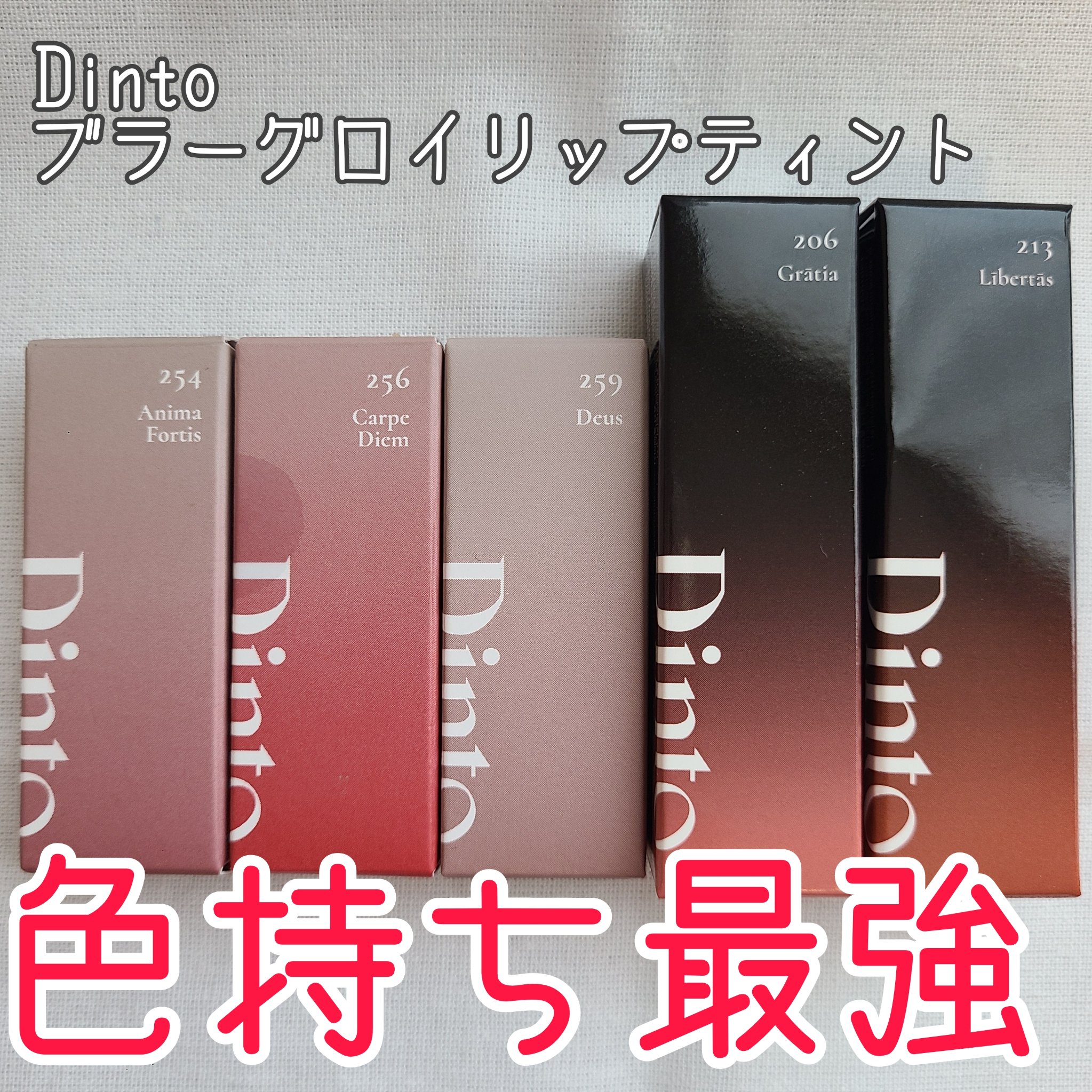 ブラーグロイリップティント｜Dintoの口コミ - Dinto ブラーグロイ