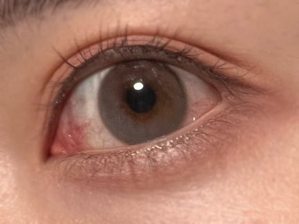 デームードワンデー(DAYMOOD 1day)/OLOLA/ワンデー(1DAY)カラコンを使ったクチコミ(1枚目)