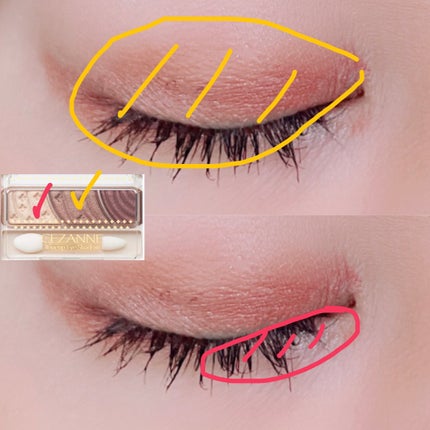 トーンアップアイシャドウ/CEZANNE/アイシャドウパレットを使ったクチコミ(2枚目)