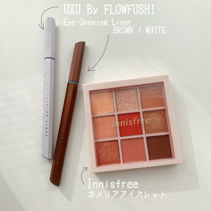 EYE OPENING LINER/UZU BY FLOWFUSHI/リキッドアイライナーを使ったクチコミ(4枚目)